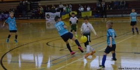 Loko Cup (2010-2)