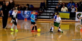 Loko Cup (2011-1)